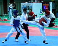 홍천서 경희대총장기 태권도대회