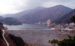 메마른 땅 위에 잡초만, 버티기까지 35일 남짓