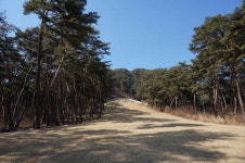 김유정 흔적부터 맥국 전설까지… 귀 기울여 볼까요!