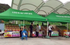 [원주]소초면 농특산물 직거래 장터 ‘인기’