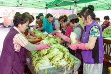[고성]고성 독거노인 여름김치 나눔행사