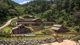 솔숲에 바람이 분다 일상에 숨이 트인다