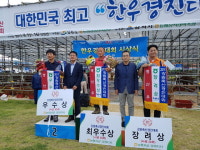 횡성·정선·인제서 도내 최고 우량 암소 나왔다