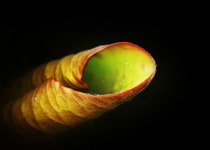 기관단체장 사진전 ‘9인의 생각을 담다’