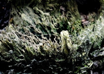 기관단체장 사진전 ‘9인의 생각을 담다’