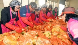 [춘천]농수산물도매시장 김장김치 나눔