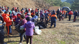 [인제]인제 산림자원 육성 캠페인