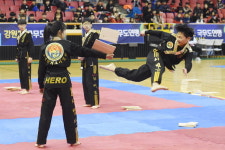 문화체육관광부장관기 전국무도대회