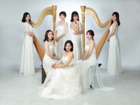 [춘천]‘하프 선율과 함께하는 로맨틱 크리스마스’