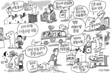 새해 강원도 달라지는 것들