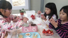 [고성]고성 친환경농장 ‘여가의 뜰’ 딸기체험 인기