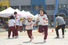 [춘천]춘천교대부설초 철쭉제