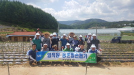 [평창]평창 진부농협 일손돕기