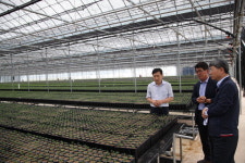 산림청차장 철원 통일양묘장 방문