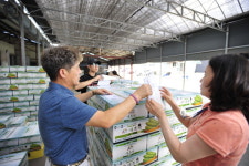 [화천]화천 애호박 우체국 홈쇼핑 판매