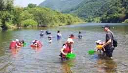 [양구]양구 농촌체험 관광객 발길 이어져