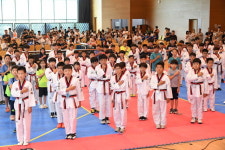 [평창]평창 한마음 태권도대회