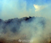 춘천 동면 월곡리 산불