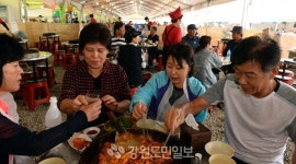 [춘천]춘천닭갈비막국수축제 개막