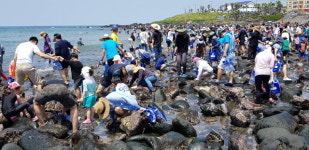 [동해안 어촌의 변신, 현장을 가다] 9. 제주 구엄마을