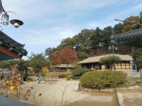 [춘천 김유정 문학촌] 발닿는 곳마다 가을 정취, 기차 타고 문학 속으로 떠나요