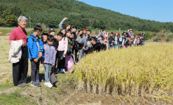 [고성]죽왕초교 생태체험학습