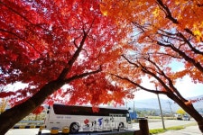 [양구]양구 DMZ 펀치볼 둘레길 단풍 절정