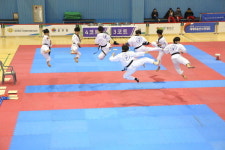 횡성 세계무술선수권 대회