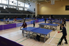 [양양]양양군협회 생활체육 탁구대회