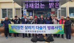 [홍천]양덕원천 살리기 다슬기 방류