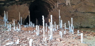 [평창]거꾸로 자라는 고드름