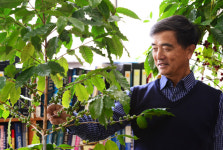 세상에서 가장 특별한 코끼리 똥 커피, “행복을 마신다”
