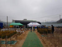 [화천]화천군산림조합 나무시장 개장