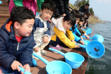 고성 ‘2019 봄, 연어의 꿈 잔치’ 치어방류 행사