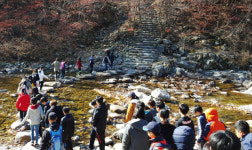 금강산 길목, DMZ가 품은 힐링로드