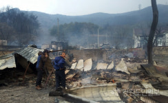 옥계 산불로 양촌마을 주택 10여채 초토화