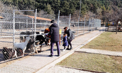 [강릉]강릉산불 동물 1000마리 구한 공무원에 감사 인사 쇄도