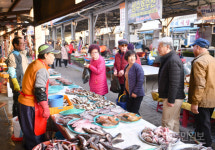 [삼척]김양호 삼척시장 민생탐방