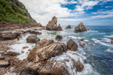 봄에 더 설레는 곳 강릉,풍경·맛·인심 NO.1