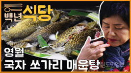 강원의 맛 백년식당을 소개합니다