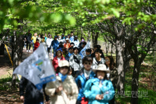 영랑호길 걷기행사 ‘속초사잇길’