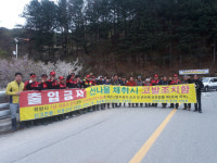 [철원]철원 산나물 불법채취 단속