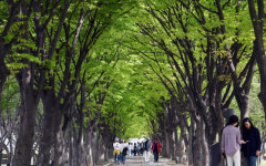 신록의 계절