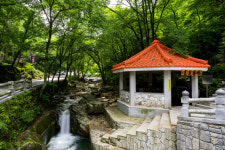 톡 쏘는 화암약수 정선 한 잔 원샷!