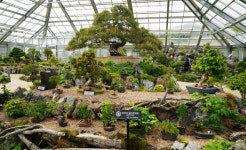 자연 그대로 옮겨놓은 ‘뜰 안의 DMZ’