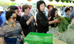 [인제]인제 진동계곡마을 산나물 축제