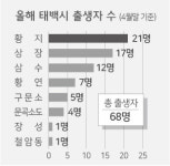 [태백]올해 장성동·철암동 출생자 각각 ‘1명’