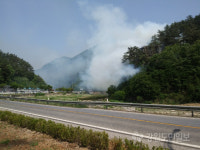 [정선]정선 화암면서 산불… 1시간 10분만에 진화