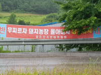 [원주]“부론면 노림리 돈사 신축 허가 취소하라”