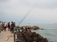 [강릉]위험천만 방파제 낚시 예방대책 절실